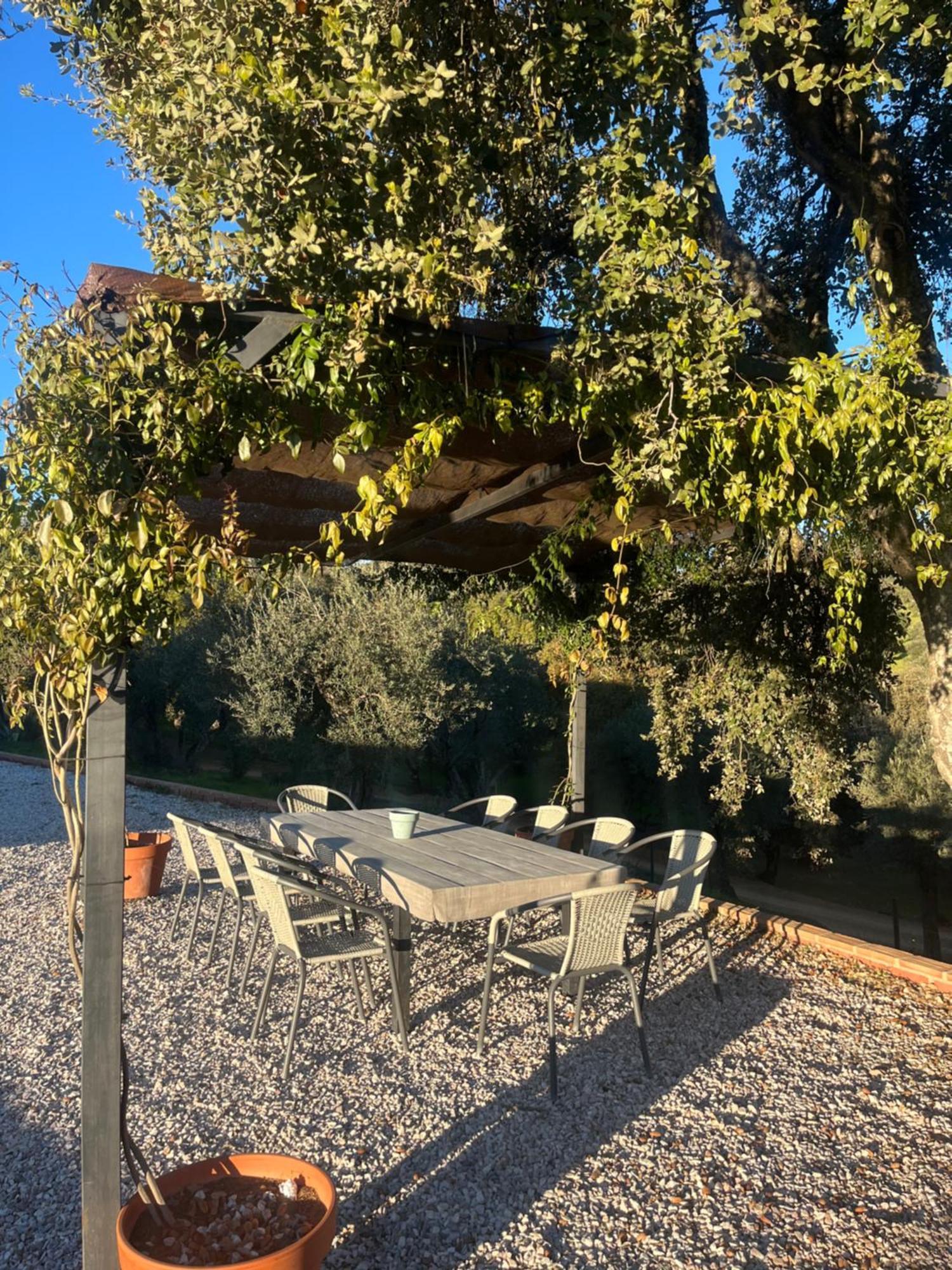 קזאיה דה לה סיירה Cortijo Rural Flor De Cazalla מראה חיצוני תמונה
